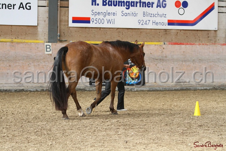 24-ApHC HIH_109.jpg